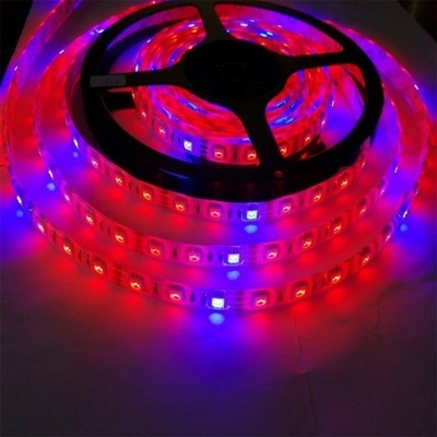 Σπόρος Αρχής Φωτός Σώμα υλικό PC Led Grow Light Strip με 5050 Dc 12v/24v