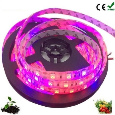 Σπόρος Αρχής Φωτός Σώμα υλικό PC Led Grow Light Strip με 5050 Dc 12v/24v