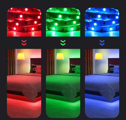 85-265V Εισερχόμενη τάση Ευφυές φωτισμό LED Grow Light Strip 5 μέτρα για κάμπινγκ